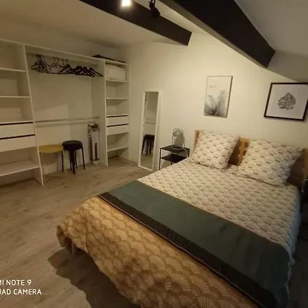 Апартаменты Cosy A 2 Pas Centre Ville/gare